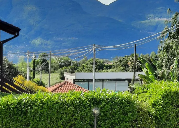 Il Tulipano * 브레쪼